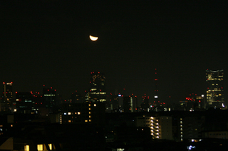 20101228.jpg