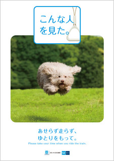 index_img_14.jpg