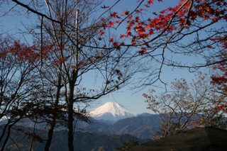 mt.takao2012.11a.jpg